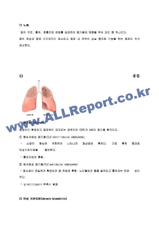 COPD 문헌고찰   (5 페이지)